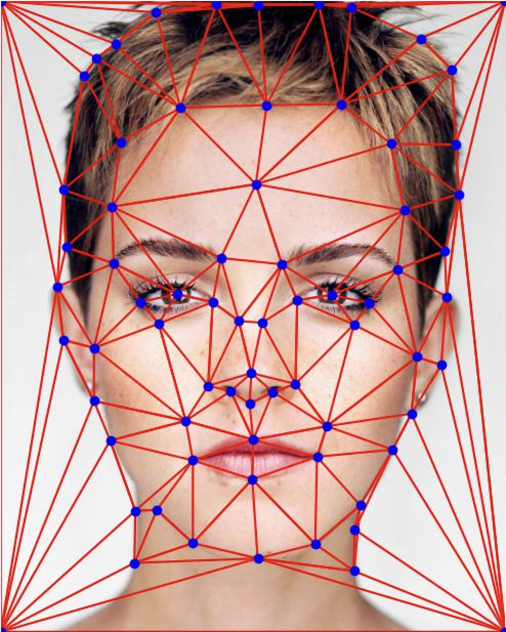 Emma Watson with keypoints and triangulation